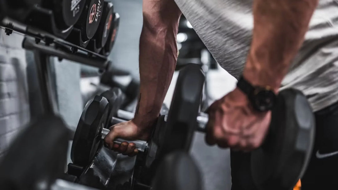 Creatine Gummies vs. Creatine Powder: Which Is Better for Your Fitness Goals?