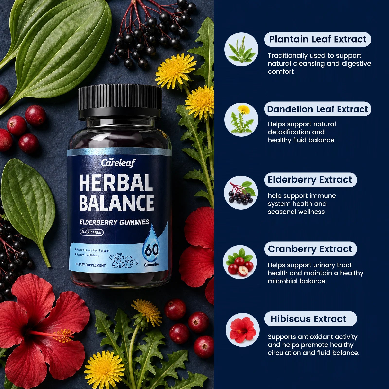 Careleaf Sugar Free Herbal Balance Gummies for Urinary & Immune Support - with Elderberry, Cranberry, Magnesium for Daily Wellness - Cranberry Flavor - 60 Gummies