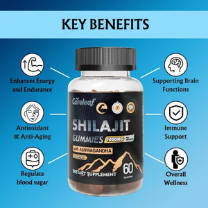 Shilajit Gummies